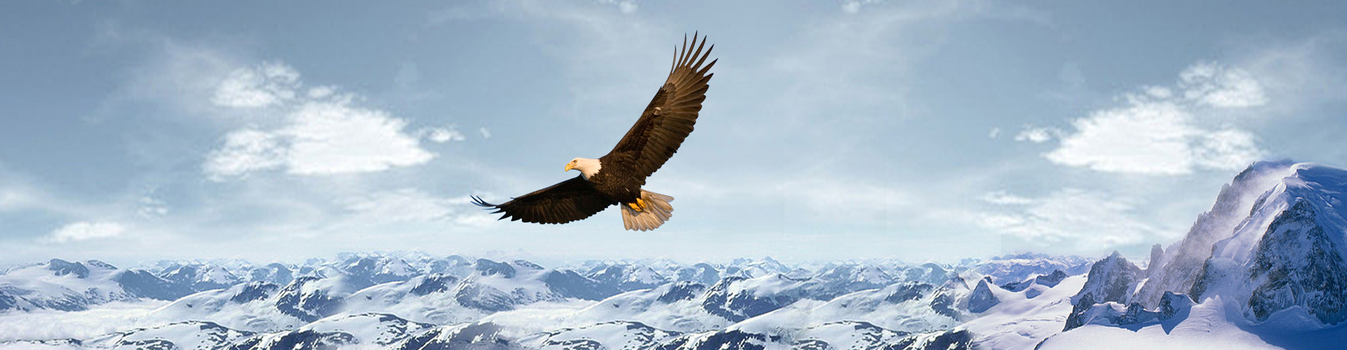 昆山唯正自動化